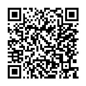 Lien vers votre campagne QRCode - Collecte de fonds