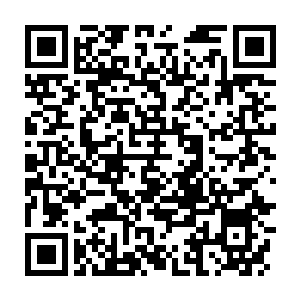 Lien vers votre campagne QRCode - Collecte de fonds