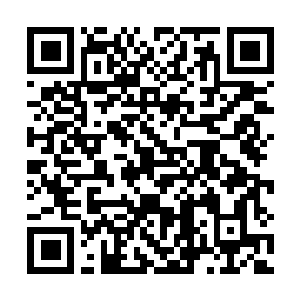 Lien vers votre campagne QRCode - Collecte de fonds