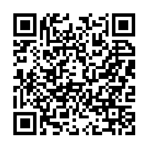 Lien vers votre campagne QRCode - Collecte de fonds