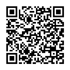 Lien vers votre campagne QRCode - Collecte de fonds