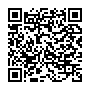 Lien vers votre campagne QRCode - Collecte de fonds