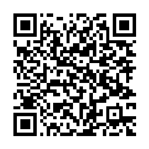 Lien vers votre campagne QRCode - Collecte de fonds