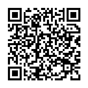 Lien vers votre campagne QRCode - Collecte de fonds