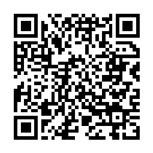 Lien vers votre campagne QRCode - Collecte de fonds