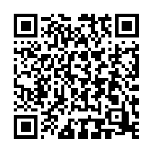 Lien vers votre campagne QRCode - Collecte de fonds