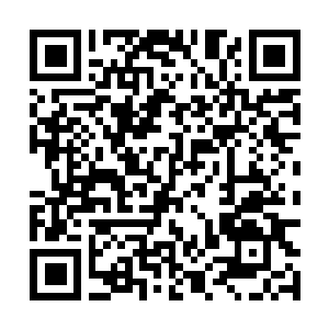 Lien vers votre campagne QRCode - Collecte de fonds