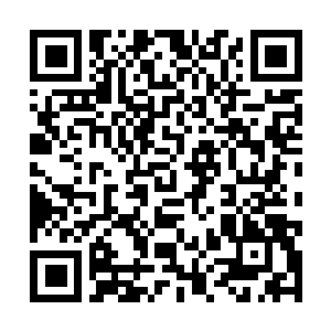 Lien vers votre campagne QRCode - Collecte de fonds