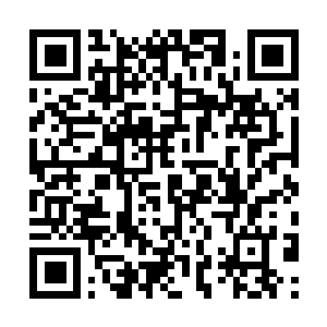 Lien vers votre campagne QRCode - Collecte de fonds