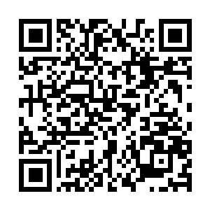 Lien vers votre campagne QRCode - Collecte de fonds
