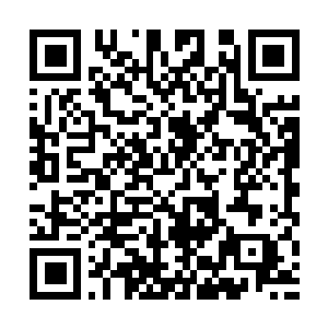 Lien vers votre campagne QRCode - Collecte de fonds