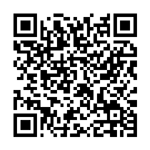 Lien vers votre campagne QRCode - Collecte de fonds