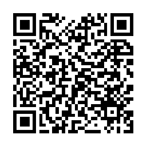 Lien vers votre campagne QRCode - Collecte de fonds
