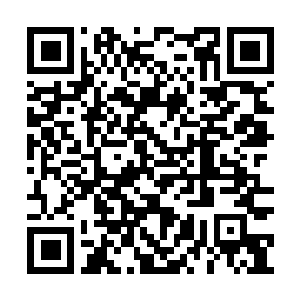 Lien vers votre campagne QRCode - Collecte de fonds