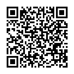 Lien vers votre campagne QRCode - Collecte de fonds