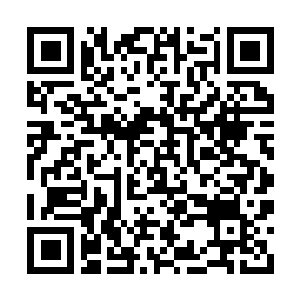 Lien vers votre campagne QRCode - Collecte de fonds