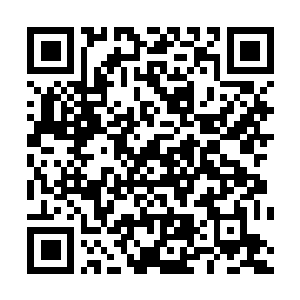 Lien vers votre campagne QRCode - Collecte de fonds