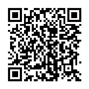 Lien vers votre campagne QRCode - Collecte de fonds