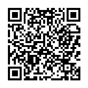 Lien vers votre campagne QRCode - Collecte de fonds