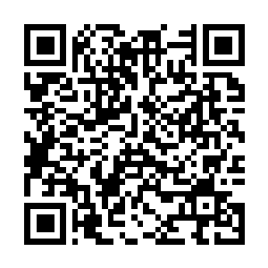 Lien vers votre campagne QRCode - Collecte de fonds