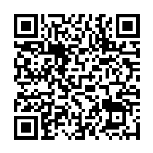 Lien vers votre campagne QRCode - Collecte de fonds