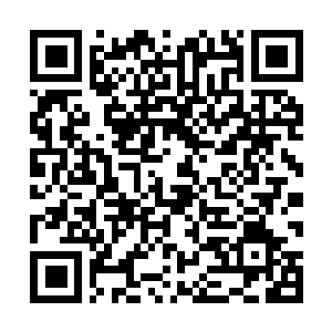 Lien vers votre campagne QRCode - Collecte de fonds