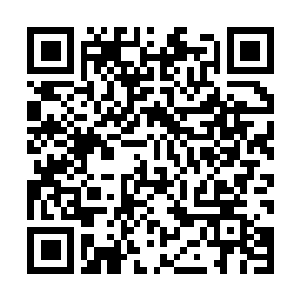 Lien vers votre campagne QRCode - Collecte de fonds