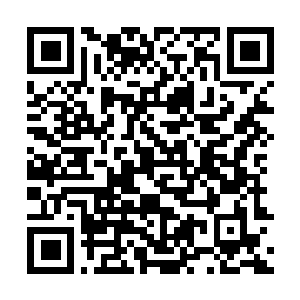 Lien vers votre campagne QRCode - Collecte de fonds