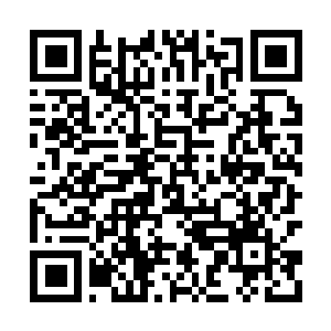 Lien vers votre campagne QRCode - Collecte de fonds