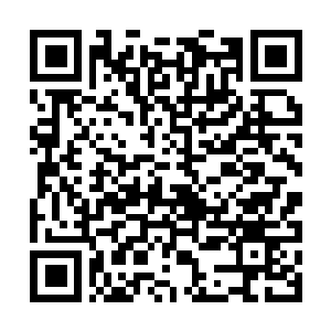 Lien vers votre campagne QRCode - Collecte de fonds
