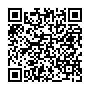 Lien vers votre campagne QRCode - Collecte de fonds
