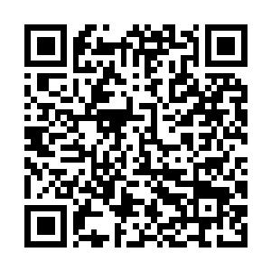 Lien vers votre campagne QRCode - Collecte de fonds