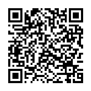 Lien vers votre campagne QRCode - Collecte de fonds