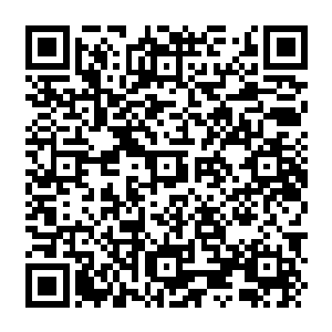 Lien vers votre campagne QRCode - Collecte de fonds