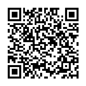 Lien vers votre campagne QRCode - Collecte de fonds