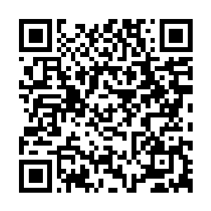 Lien vers votre campagne QRCode - Collecte de fonds