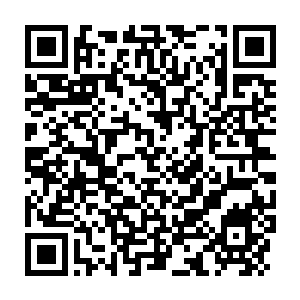 Lien vers votre campagne QRCode - Collecte de fonds
