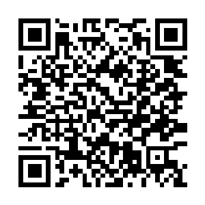 Lien vers votre campagne QRCode - Collecte de fonds