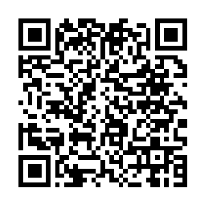 Lien vers votre campagne QRCode - Collecte de fonds