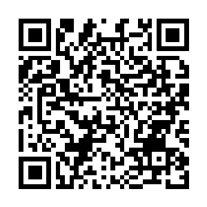 Lien vers votre campagne QRCode - Collecte de fonds