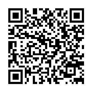 Lien vers votre campagne QRCode - Collecte de fonds
