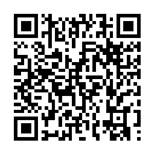 Lien vers votre campagne QRCode - Collecte de fonds