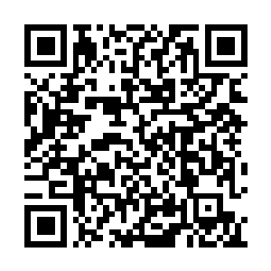 Lien vers votre campagne QRCode - Collecte de fonds