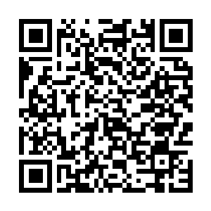 Lien vers votre campagne QRCode - Collecte de fonds