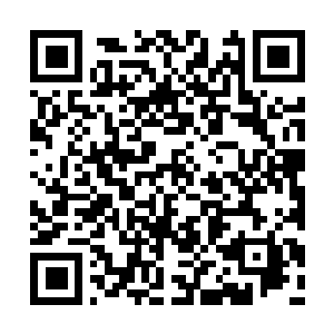 Lien vers votre campagne QRCode - Collecte de fonds