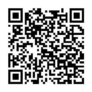 Lien vers votre campagne QRCode - Collecte de fonds