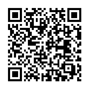 Lien vers votre campagne QRCode - Collecte de fonds