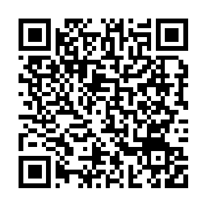 Lien vers votre campagne QRCode - Collecte de fonds