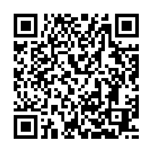 Lien vers votre campagne QRCode - Collecte de fonds