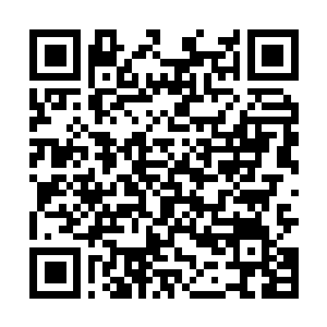 Lien vers votre campagne QRCode - Collecte de fonds
